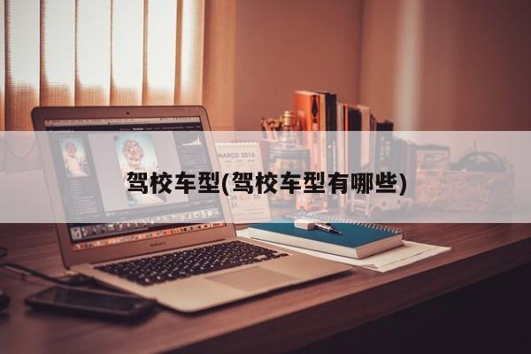 驾校车型(驾校车型有哪些)
