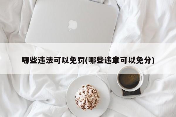 哪些违法可以免罚(哪些违章可以免分)