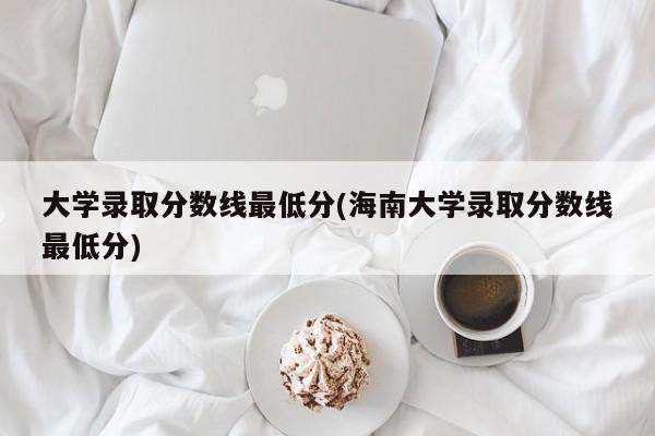 大学录取分数线最低分(海南大学录取分数线最低分)