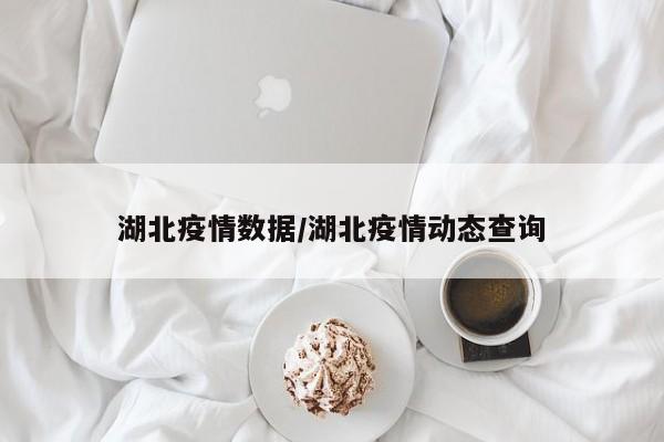 湖北疫情数据/湖北疫情动态查询